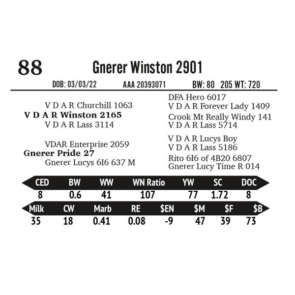 Gnerer Winston 2901