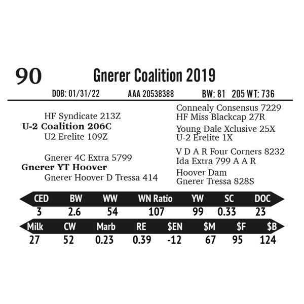 Gnerer Coalition 2019