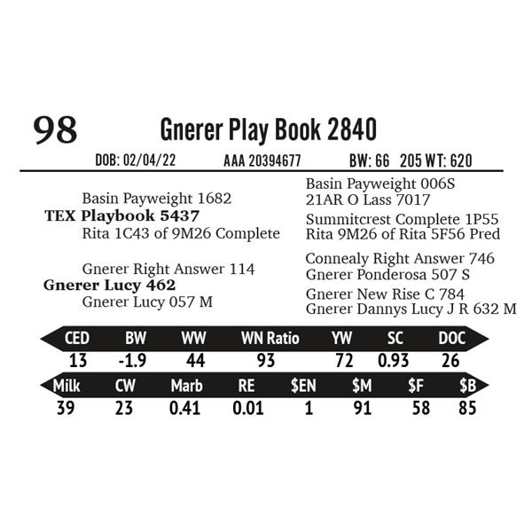 Gnerer Play Book 2840