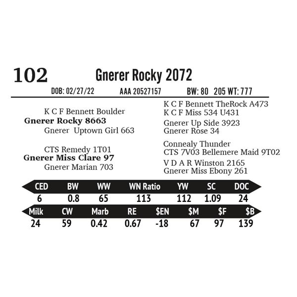 Gnerer Rocky 2072