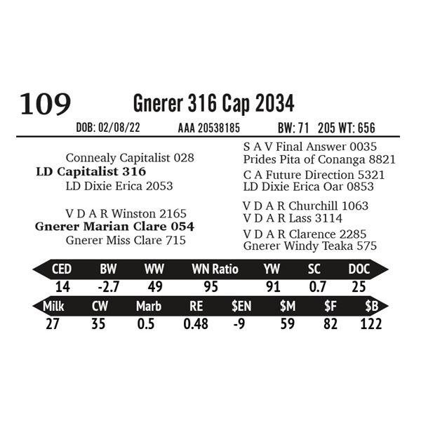 Gnerer 316 Cap 2034