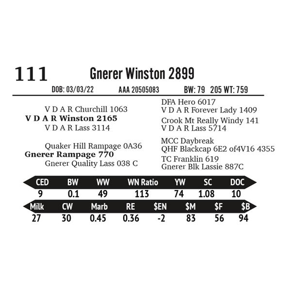 Gnerer Winston 2899