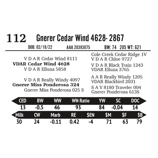 Gnerer Cedar Wind 4628- 2867