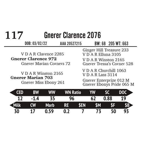 Gnerer Clarence 2076