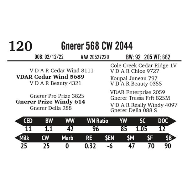 Gnerer 568 CW 2044