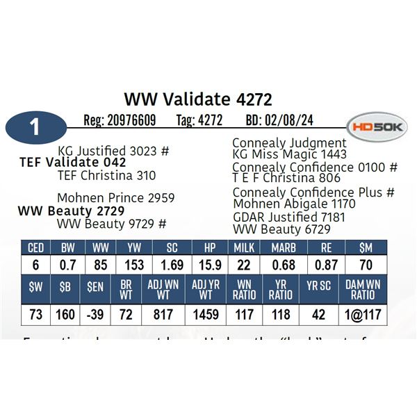 WW Validate 4272