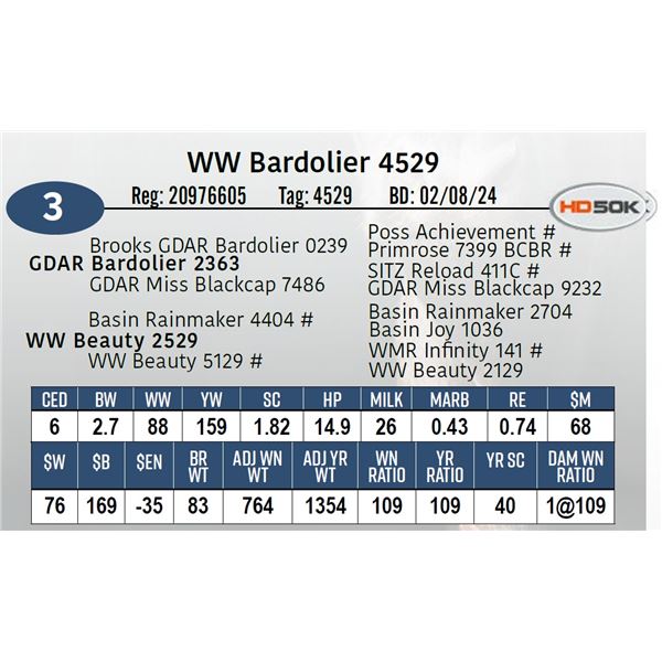 WW Bardolier 4529