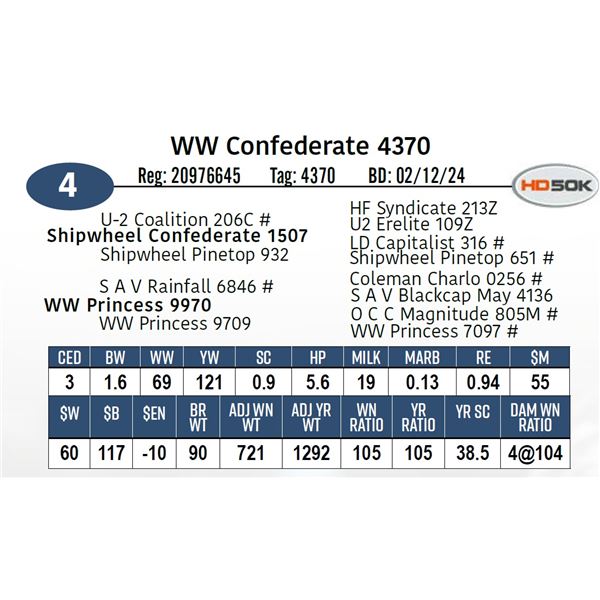 WW Confederate 4370