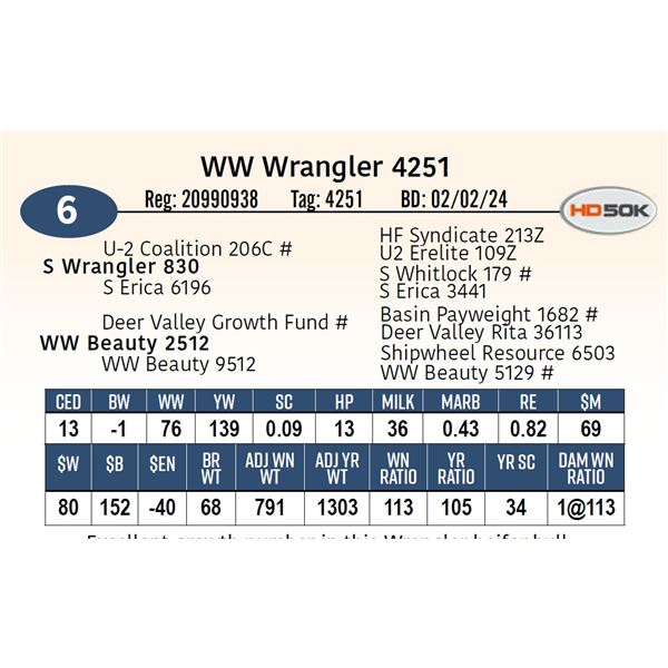 WW Wrangler 4251