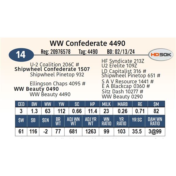 WW Confederate 4490