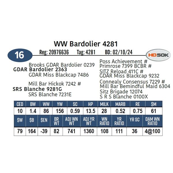 WW Bardolier 4281