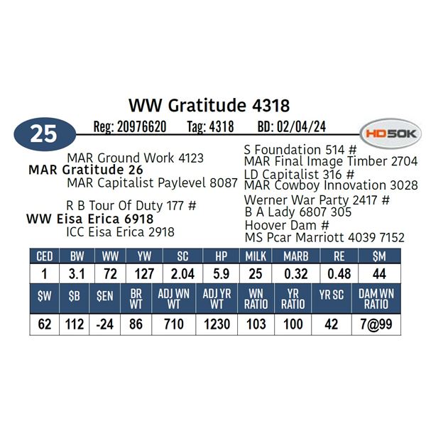 WW Gratitude 4318