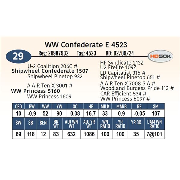 WW Confederate E 4523