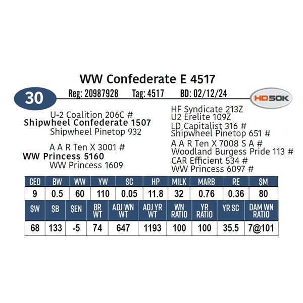 WW Confederate E 4517