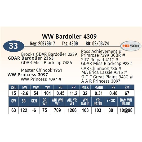 WW Bardoiler 4309