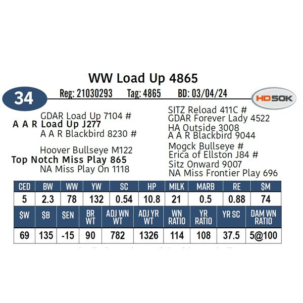 WW Load Up 4865