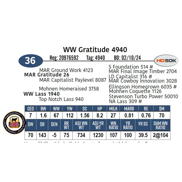WW Gratitude 4940