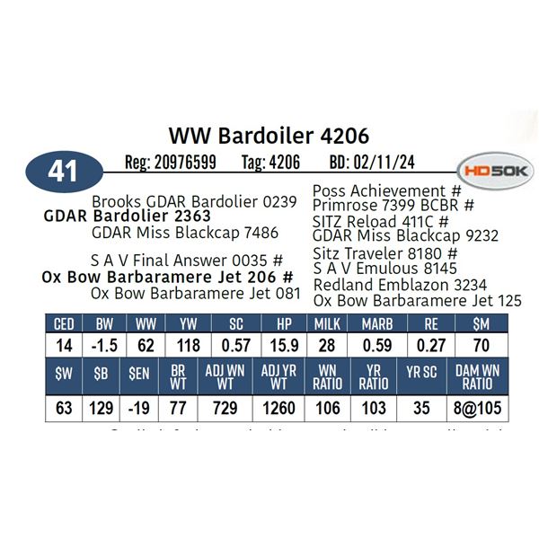 WW Bardoiler 4206