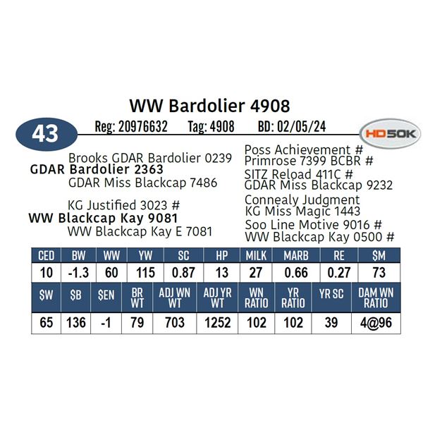 WW Bardolier 4908