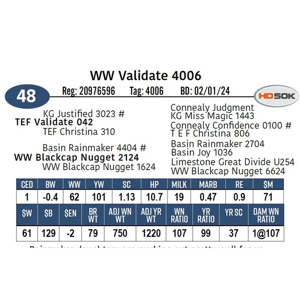 WW Validate 4006