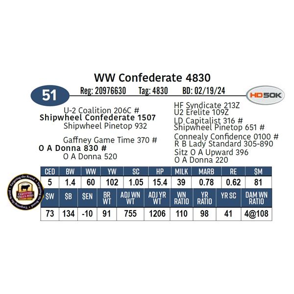 WW Confederate 4830