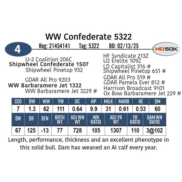 WW Confederate 5322