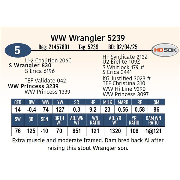 WW Wrangler 5239