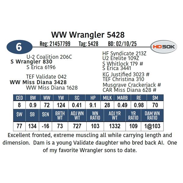 WW Wrangler 5428