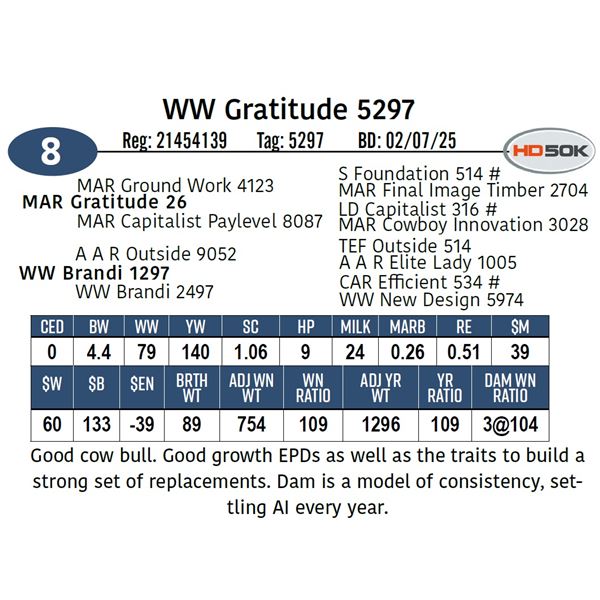 WW Gratitude 5297