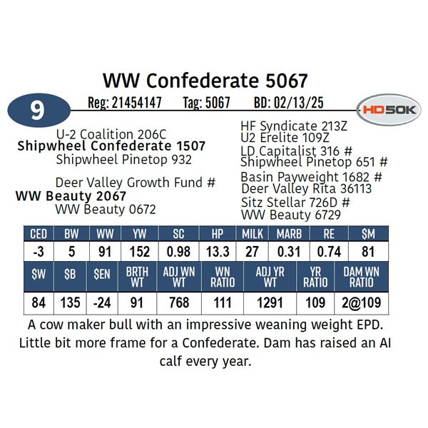 WW Confederate 5067