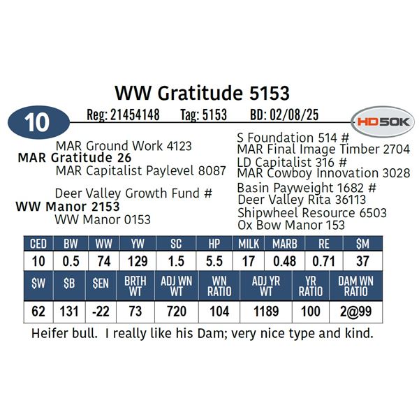 WW Gratitude 5153