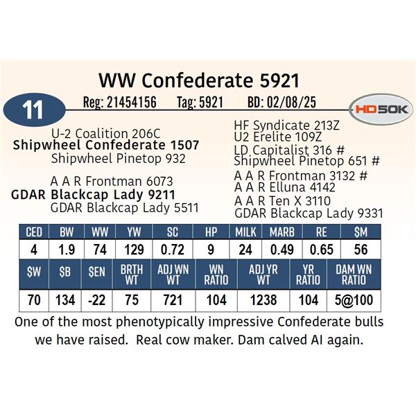 WW Confederate 5921