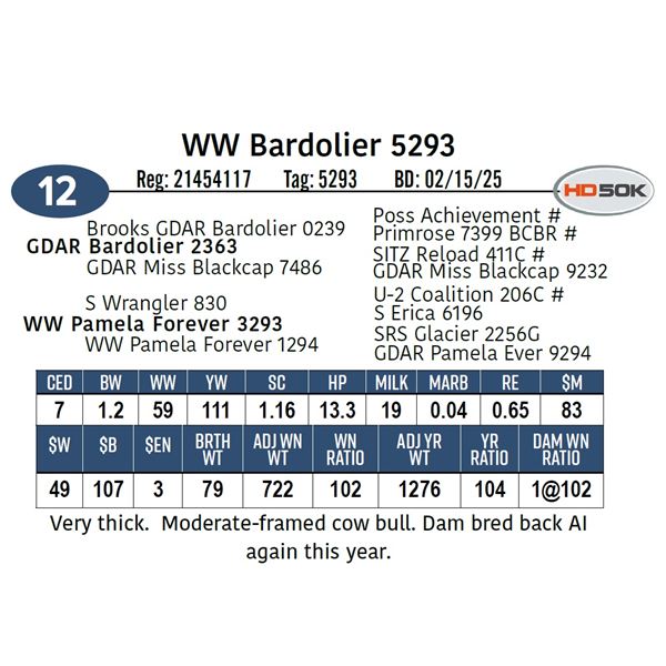 WW Bardolier 5293