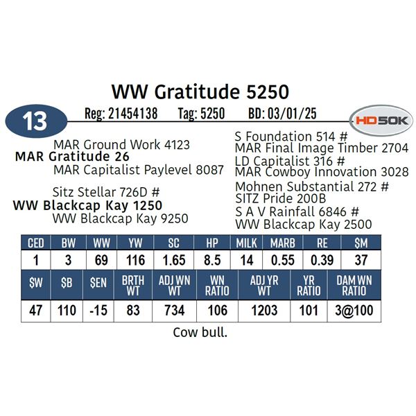 WW Gratitude 5250