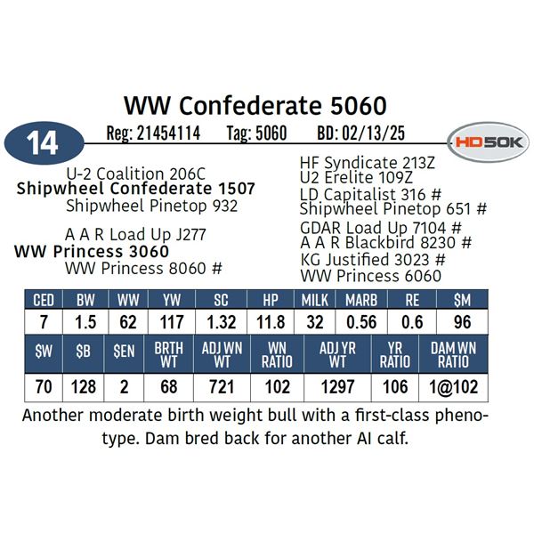 WW Confederate 5060