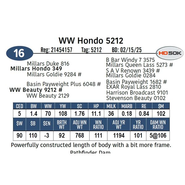 WW Hondo 5212