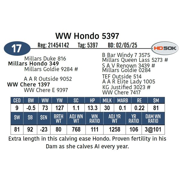 WW Hondo 5397