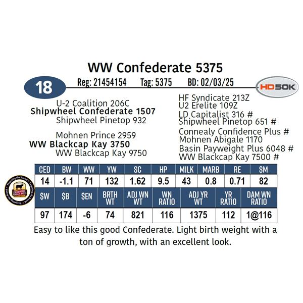 WW Confederate 5375