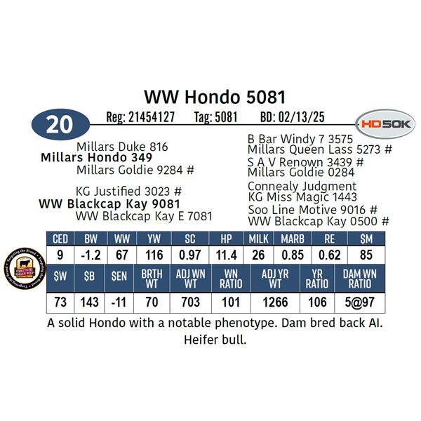 WW Hondo 5081