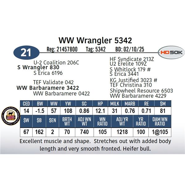 WW Wrangler 5342