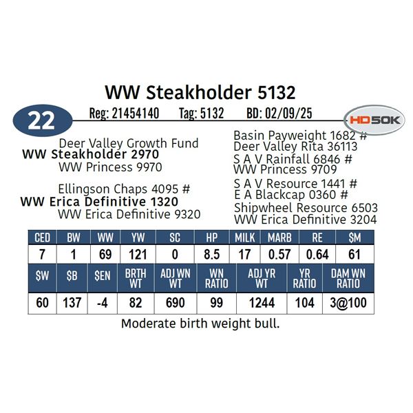 WW Steakholder 5132
