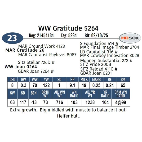 WW Gratitude 5264
