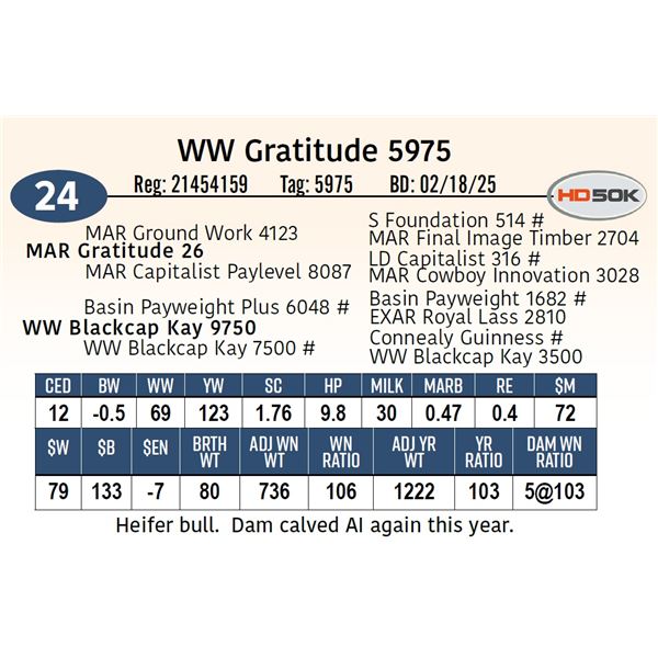 WW Gratitude 5975