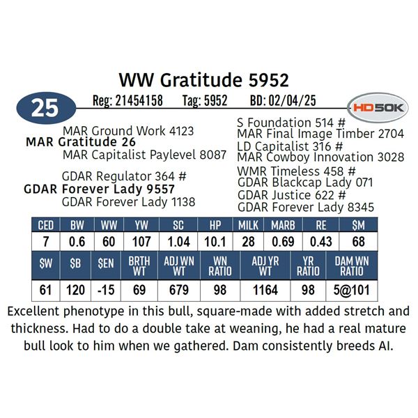 WW Gratitude 5952