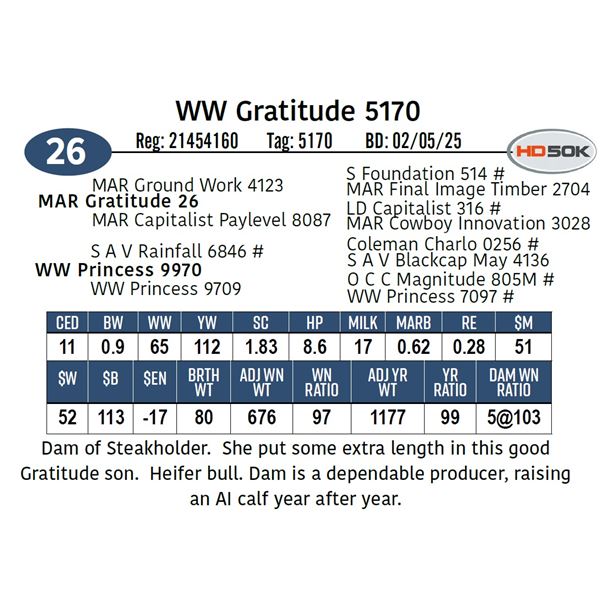 WW Gratitude 5170