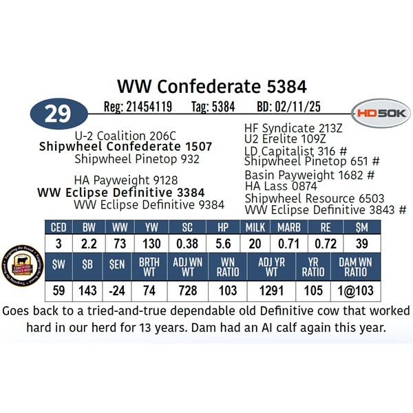 WW Confederate 5384
