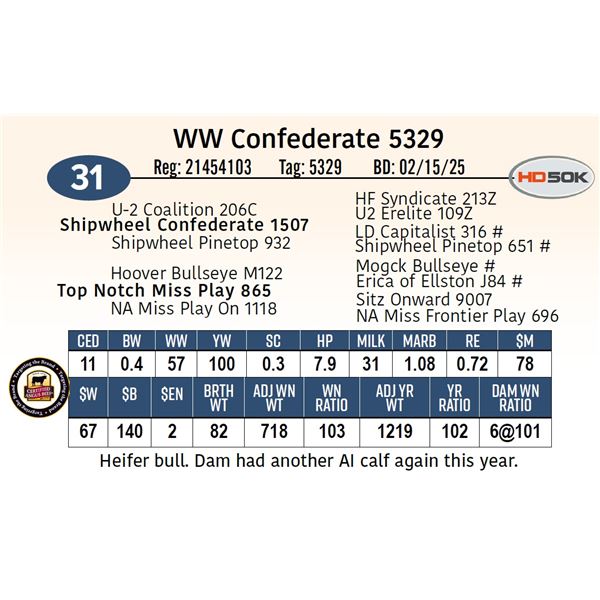 WW Confederate 5329
