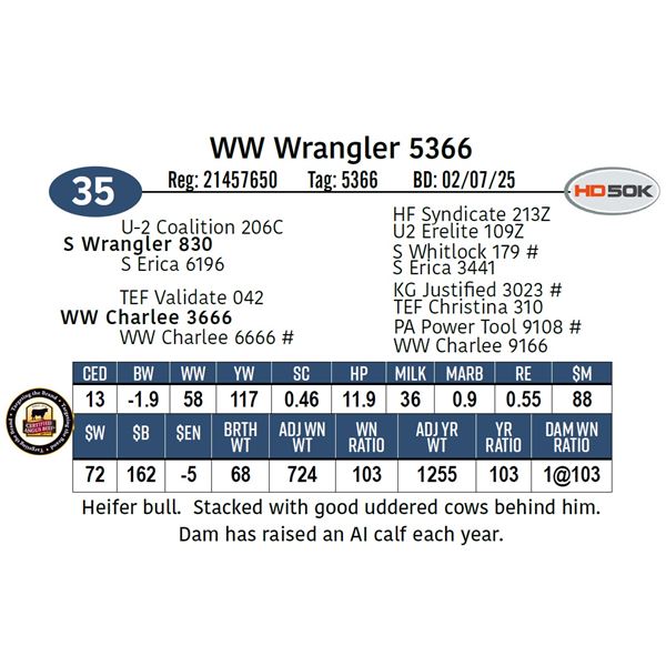 WW Wrangler 5366