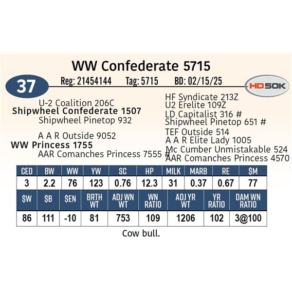 WW Confederate 5715