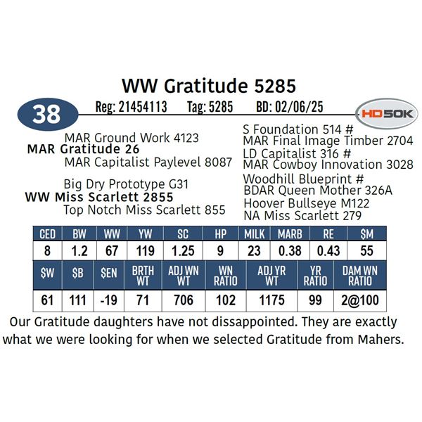 WW Gratitude 5285